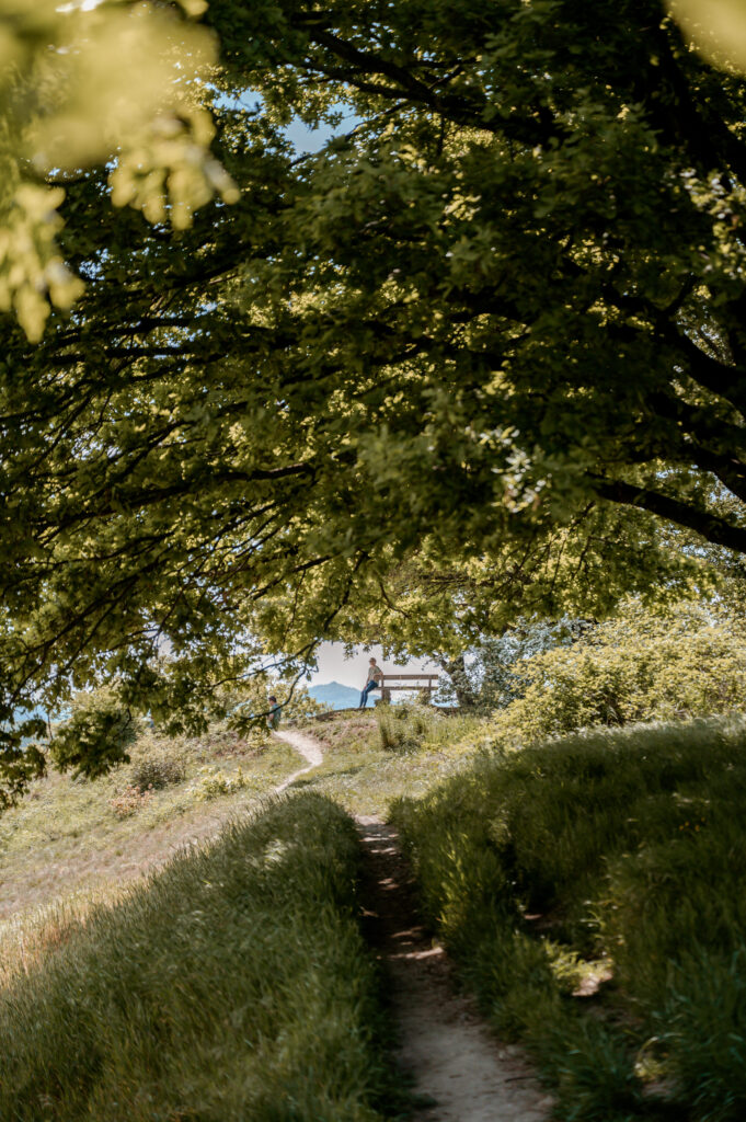 gezin door het zuid-limburgse heuvelland in een shoot met Sanne Creuels Photograhy